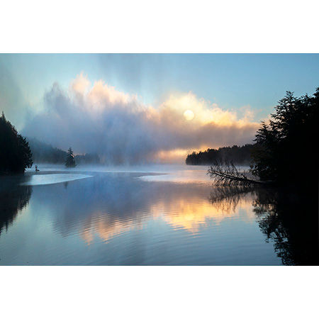 Geof Burbidge Cartes de vœux printemps/été