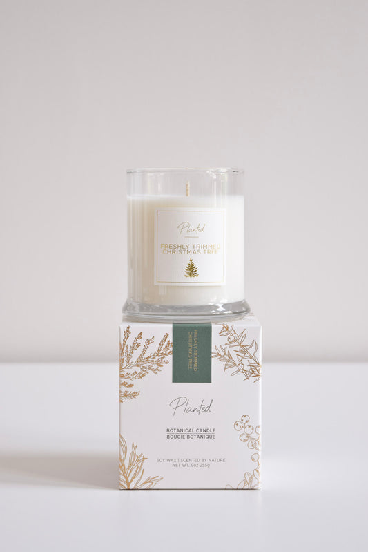 Ambre et Vanille - 8oz