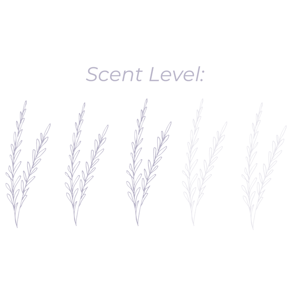 Ambre et Vanille - 8oz