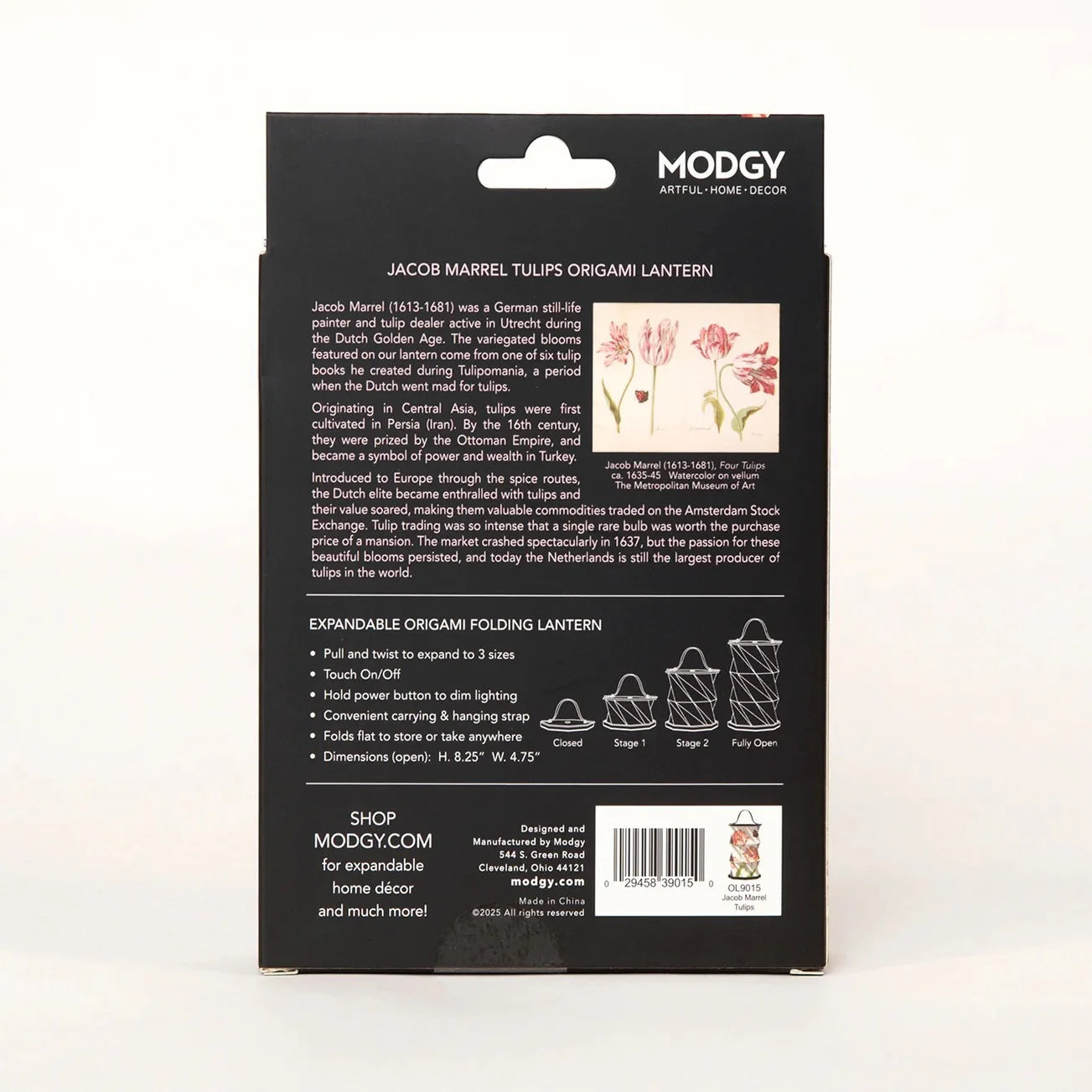 Expandable Origami Folding Lantern Jacob Marrell Tulips
