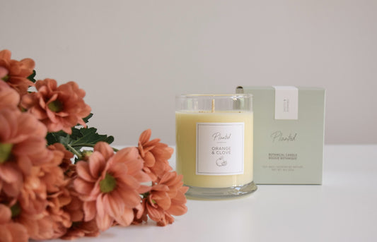 Ambre et Vanille - 8oz