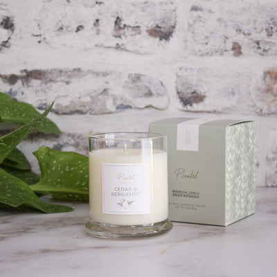 Ambre et Vanille - 8oz
