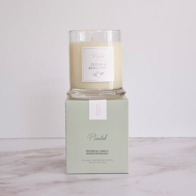 Ambre et Vanille - 8oz