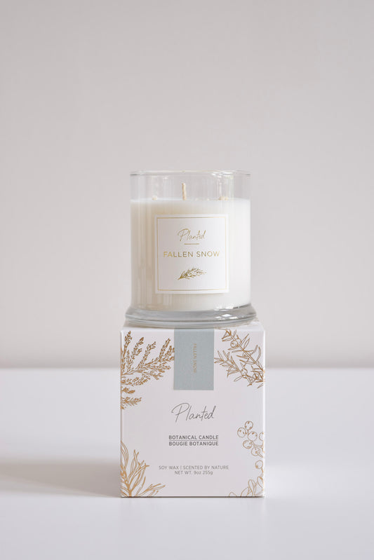 Ambre et Vanille - 8oz