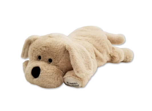 Petit chiot labrador beige