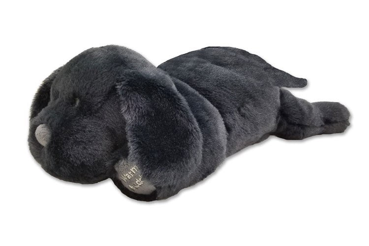 Labrador Puppy Black