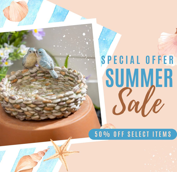 Summer Sale 2025 - 50% off
