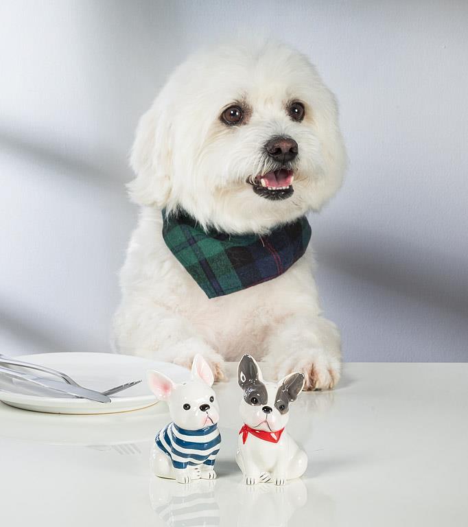 French Bulldog Salt & Pepper Set