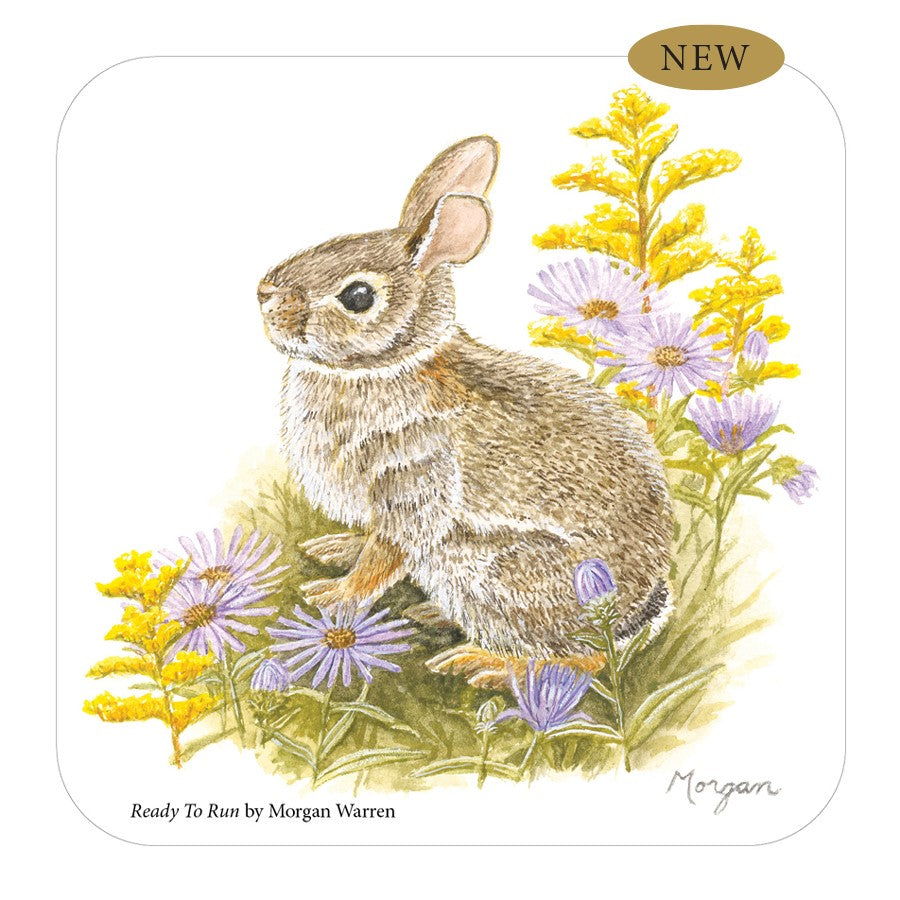Ready to Run Small Tin