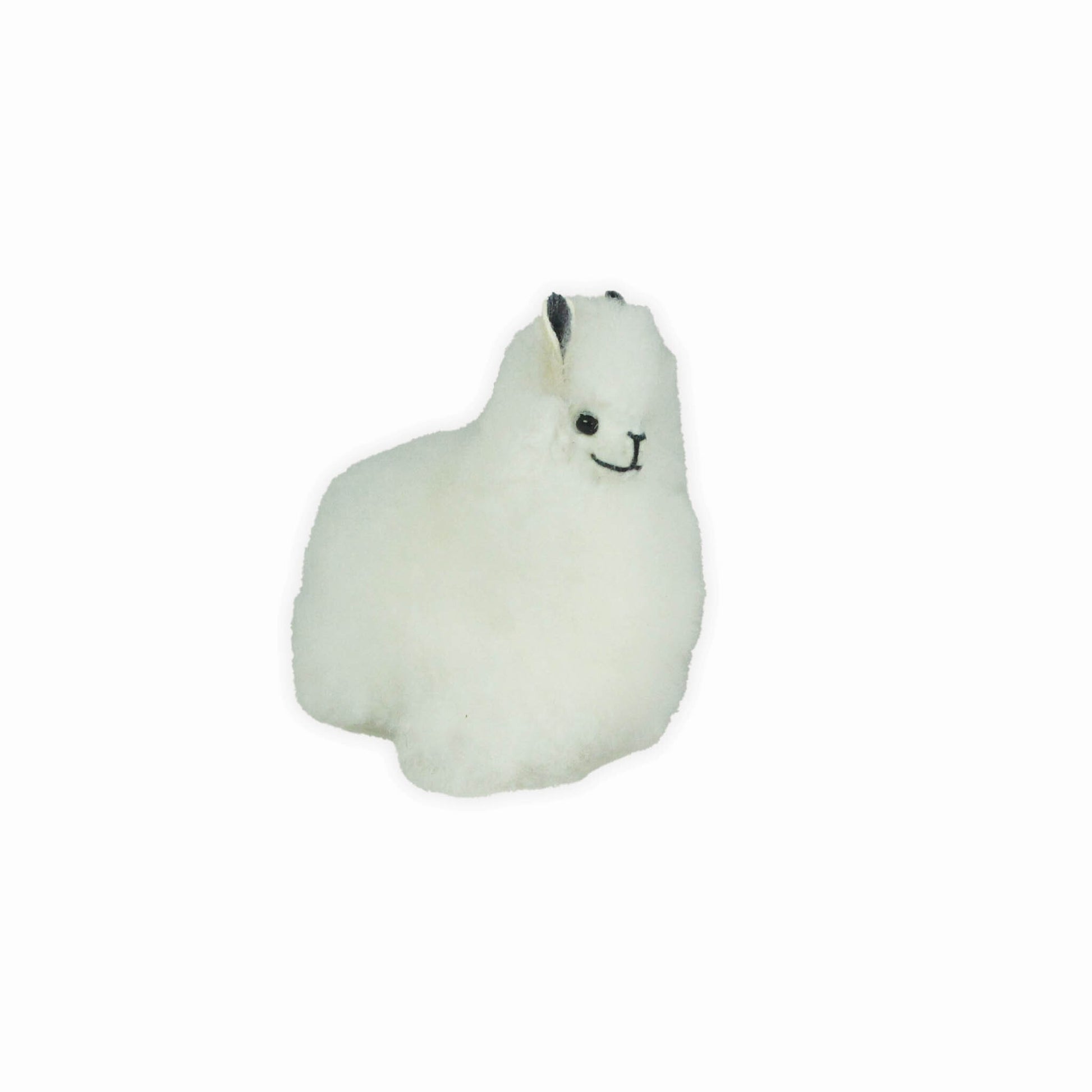 x-small white alpaca