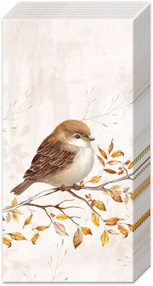 Mouchoir de poche