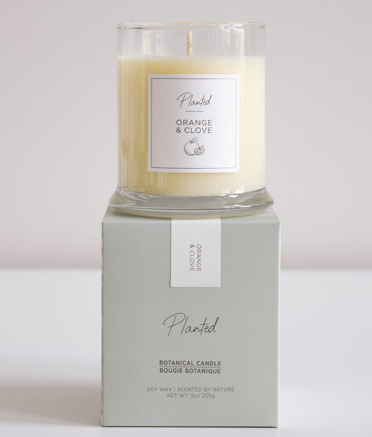 Ambre et Vanille - 8oz