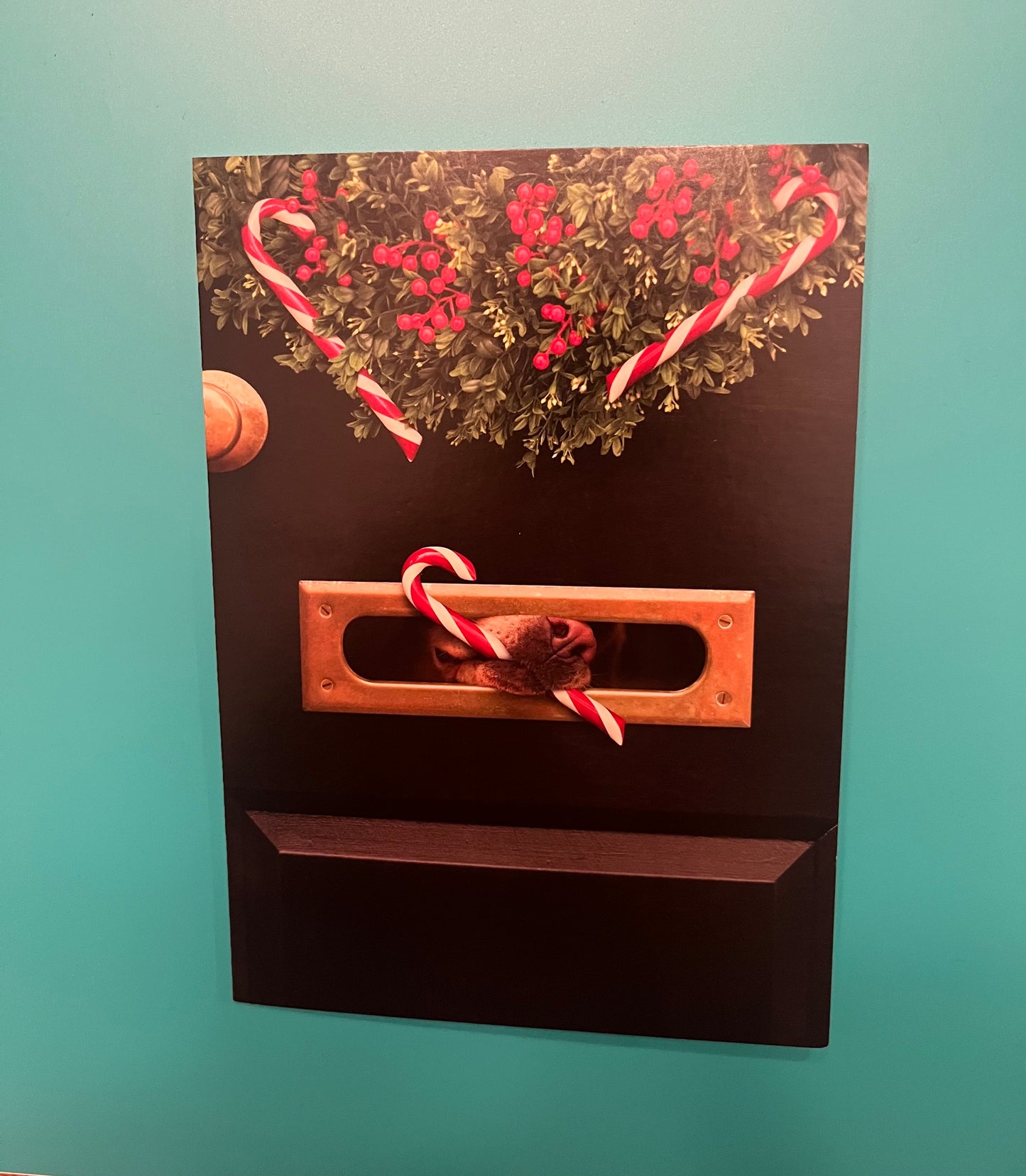 Dog Holiday Door Holiday Greeting Card