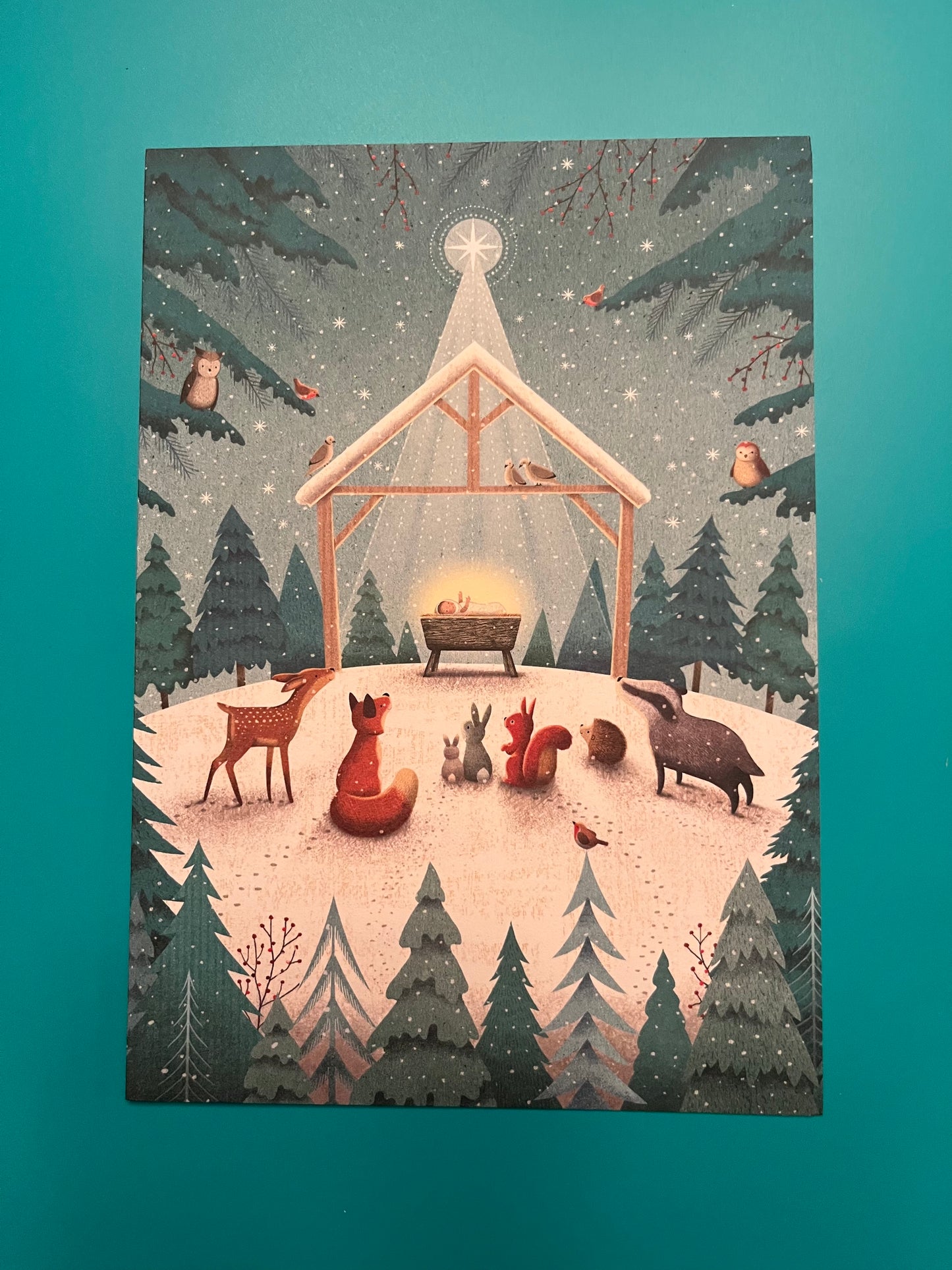 Nativity Nature Scene Holiday Greeting Card