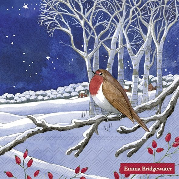 Serviettes de table d'hiver et de vacances