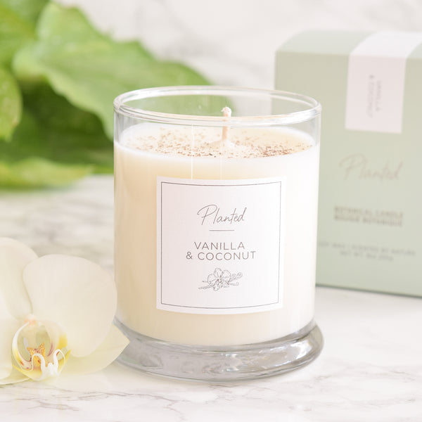 Ambre et Vanille - 8oz