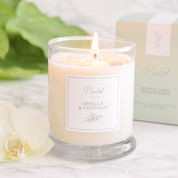 Ambre et Vanille - 8oz