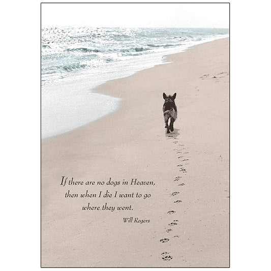 Dog on Beach - Sympathy Card