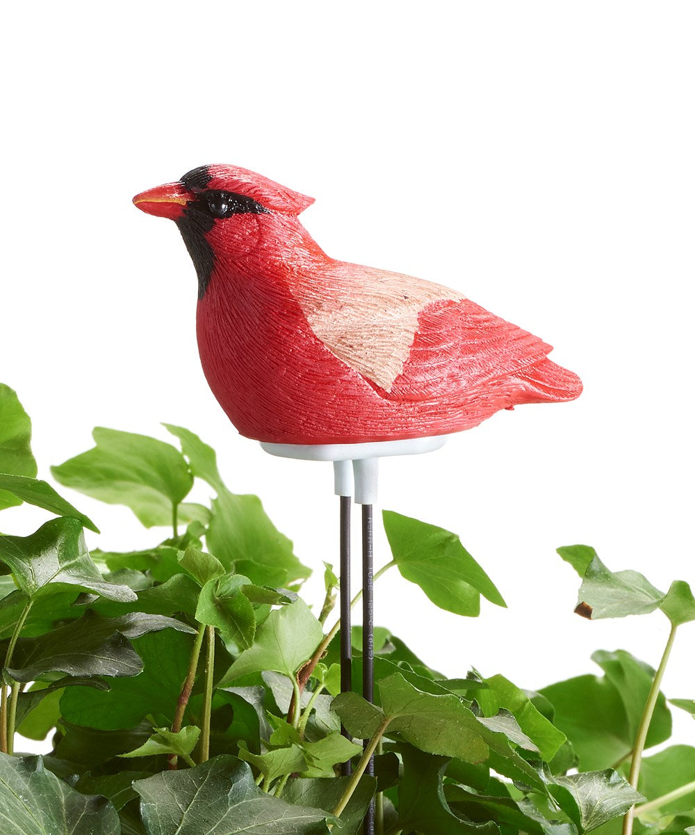 Songbird Moisture Meter with Light Sensor and Sound