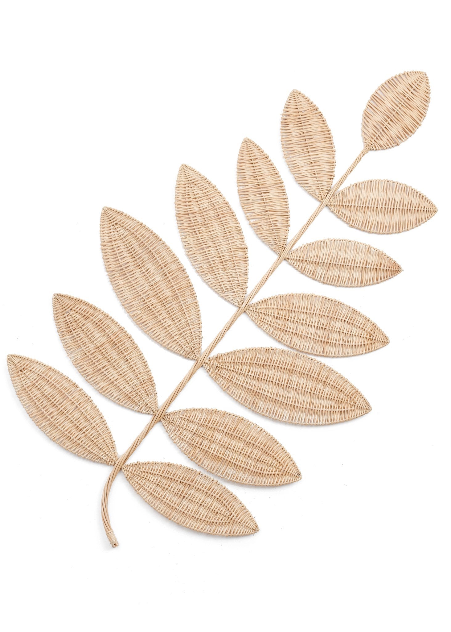 Wall Decor Willow Leaf Natural